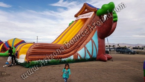 Tree House Slide Rental Denver Colorado
